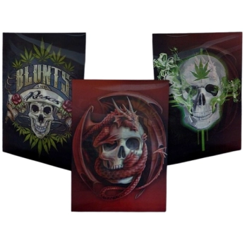 Obraz 3D Trójwymiarowy z Czachą z Ramką Plakat Lentikularny